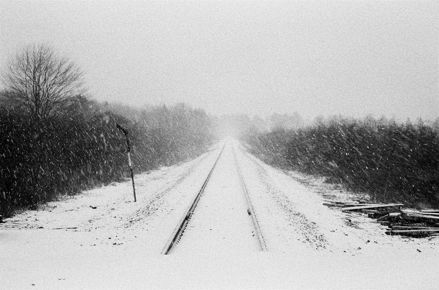 January 16, 2016 — 072