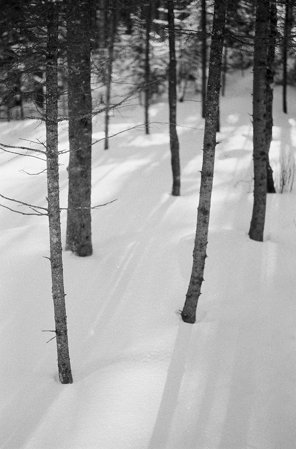February 9, 2016 — 096