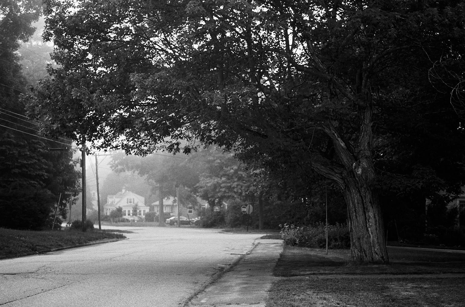 July 5, 2016 — 243