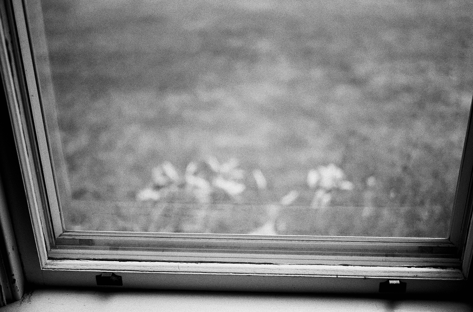 August 1, 2016 — 270