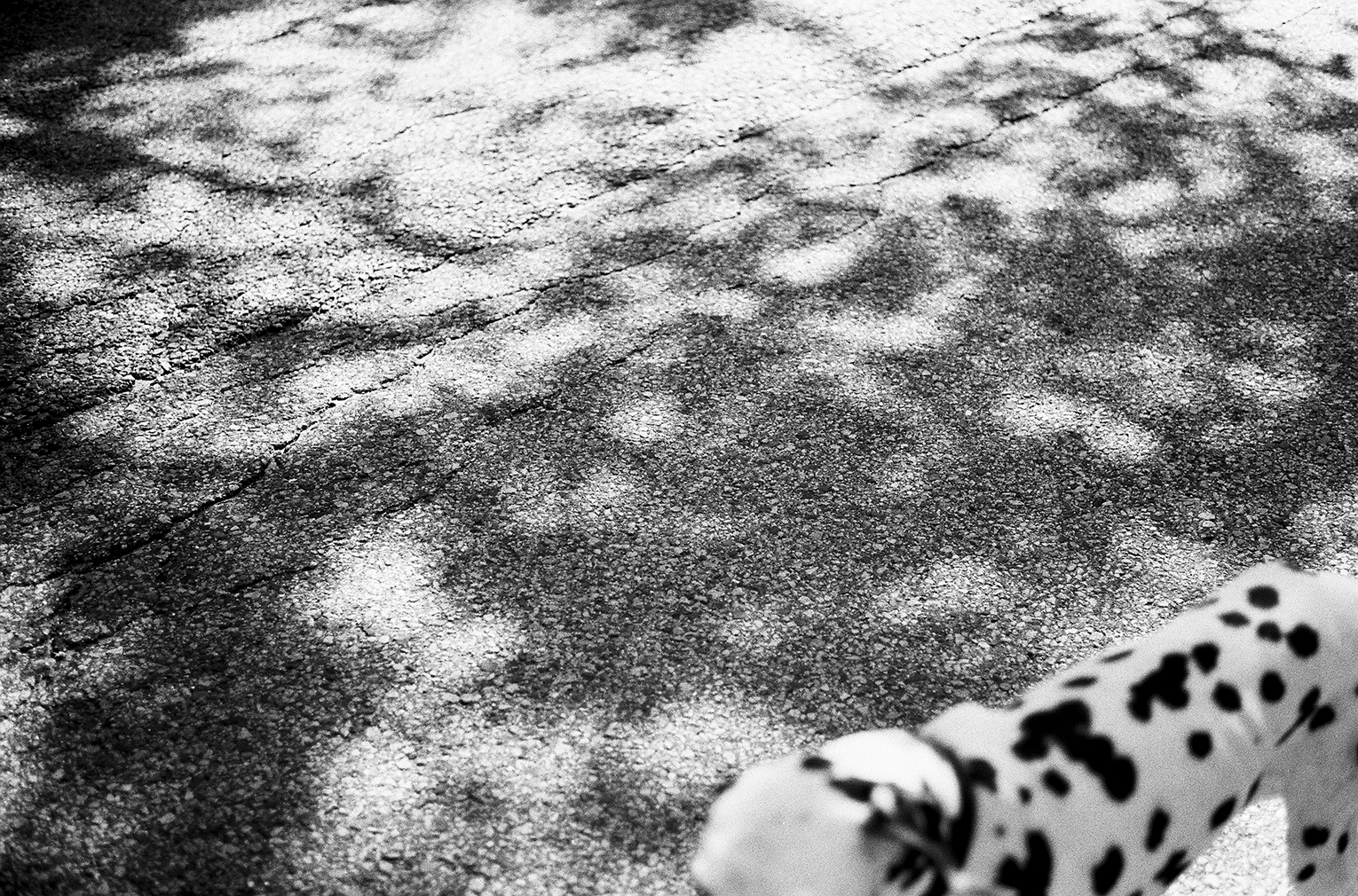August 3, 2016 — 272